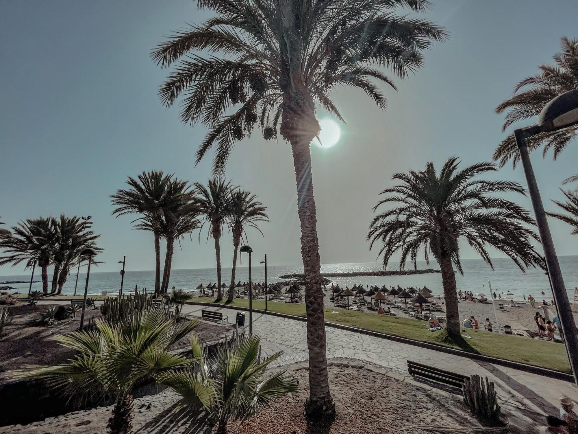 Appartement Viktoria Sur à Playa de las Américas Extérieur photo